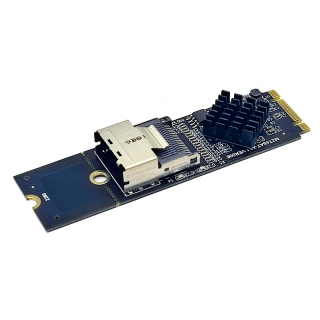 CONTROLADORA M.2 NVMe A MINI SAS SFF-8087 SATA3 - 4 PUERTOS